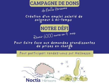 Campagne de don