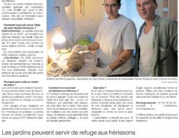 Les hérissons blessés ont leur centre de soins